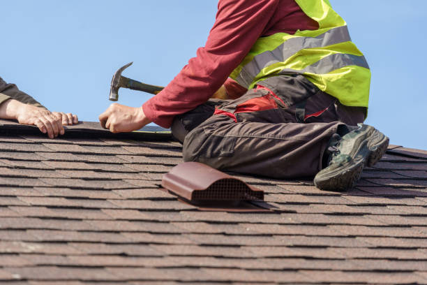 Best Roof Gutter Cleaning  in Hansen, ID